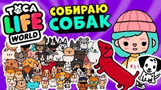 СОБИРАЮ ВСЕХ СОБАК в Тока Бока  ► Toca Life world