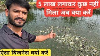 Fastest growing fish for farming in India ।। Indian fish farm ।। pangas fish farming ।machli palan।