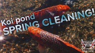 Koi Pond MAINTENANCE TIPS | How To Clean A Pond For The Spring