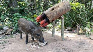 WOW!! Amazing DIY boar pig trap using big sharp wood #wildanimal #wildboar #primitivesurvival