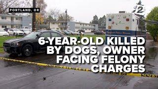 6-year-old boy fatally mauled by pet dogs in Portland, owner facing multiple charges