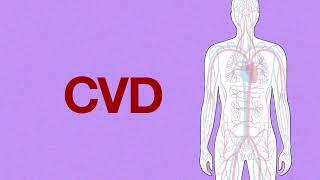 Cardiovascular disease (CVD): What is it?