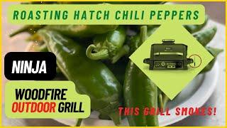 Ninja WoodFire Grill - Real Time Cooking - Hatch Peppers Roasting in real time on Wood Fire grill.