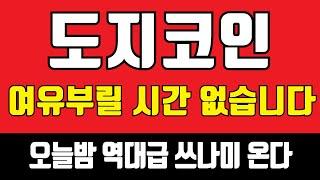 [도지코인 전망]여유부릴 시간 없습니다 오늘밤 역대급 쓰나미 온다