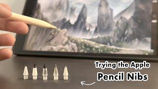 Different TIPS for the Apple PENCIL? - Nibs Review