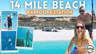 7 Days Beachfront Camping on the Ningaloo | 14 Mile Beach, Warroora Station | Coral Bay, WA [EP30]