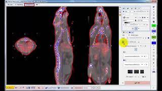 PFUSEIT Stepwise Image Fusion Tool (Overview)