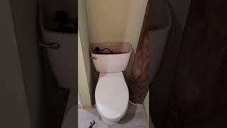 Is your toilet new?