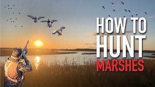 5 Tips for Duck Hunting Shallow Water Marshes (2022 Season)