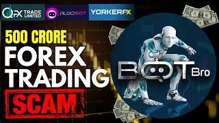 Rs.500 Crore Forex Trading Scam Exposed, BOTBRO, Yorker FX, QFX, Algobot FRAUD by Lavish Chaudhary