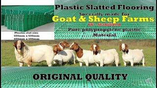 Plastic slatted floor for goat & sheep farms