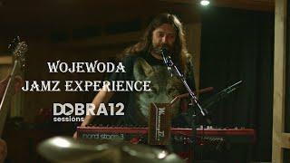 Wojewoda JAMZ Experience I Dobra 12 Live Session