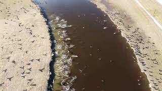 Icelandic River in Arborg aerial view.