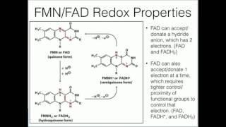 Flavins: Redox Chemistry of FMN and FAD