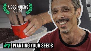 How to Plant Cannabis Seeds - A Beginner's Guide with Kyle Kushman #7