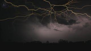  Rolling Thunder Sleep Ambience with Clear Relaxing Sounds of Lightning and Rain Falling on Leaves.