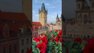 Best photospot in Prague   #prague #czech #photospot #bar #rooftop #city #view #flowers #travel