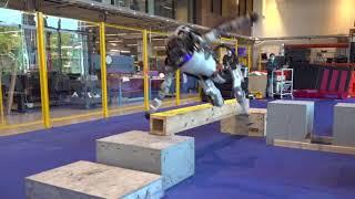 Atlas robot hilariously failing and falling at parkour