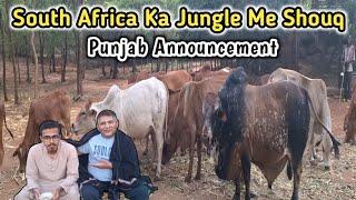 South Africa Me Shouq | Punjab Ki Update || Boss Cattle Farm