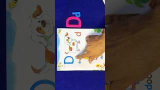 Learn D | Letter D learning| small letter d is learning #abcd #learning #english #learn