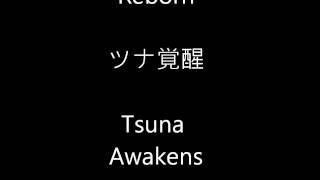 Epic Music- ツナ覚醒  Tsuna Awakens 佐橋俊彥 (Extended Version) 家庭教師 覺醒