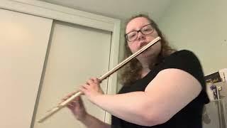 Sofia Carson - I Hate the Way - Flute Cover - Hannah Haefele