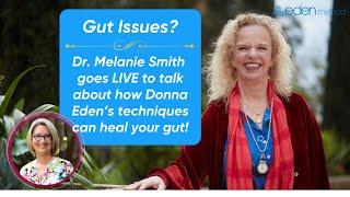 Energy Medicine Essentials for Your Gut