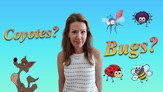 Coyotes Bugs Flys Snakes Termites | Murrieta | Menifee | Temecula