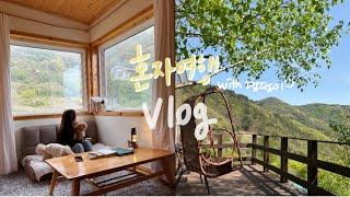 여자혼자 국내 여행 Vlog | 힐링하고 싶은사람 꼭 가야할 영천숙소! 강아지들과 영천 여행 