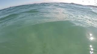 Snorkelling next to a Sardine Run - Saldanha Bay, South Africa