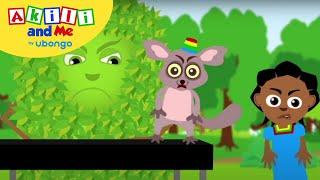 EPISODE 10: Akili and the angry shrub | Full Episode of Akili and Me | African Educational Cartoons