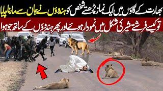 Namaz Ke Doran Sher Aya To Phr Kya Mojza Hua || Allah ki Qudrat Ka Qarishma || Islam Advisor