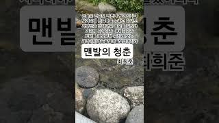 맨발의 청춘  #최희준#트로트#1964최희준인기히트곡
