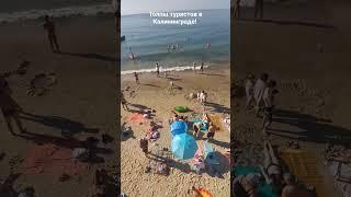 Миллионы туристов в Калининграде!