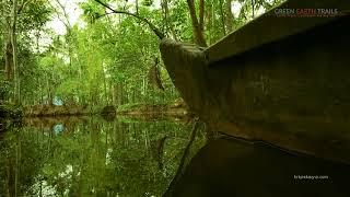 Kerala Village Experience | Kerala Tour Operator | Vaikom Village Country Canoe Cruise