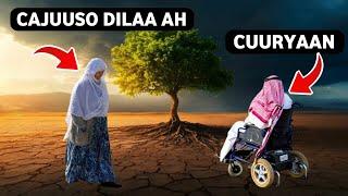 Dhiigya cabkii is qarinayey subxaanallaah? Qiso xanuun badan