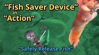 The Fish Saver Device in Action Underwater: Ling: Wrasse: Whiting: Haddock