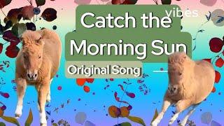 Must Watch Music Video! Cute Shetland Foal Chases Dreams in the Morning Sun.️