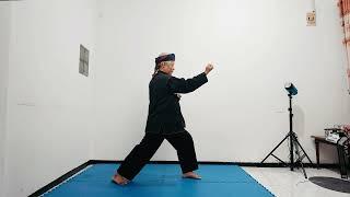 Traditional Silat Movements Series: Master the Art of Pencak Silat