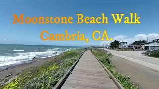 Moonstone Beach Walking Tour Cambria CA