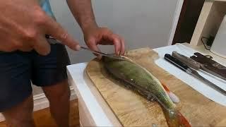 Redfin filleting 101