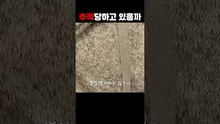 신용불량자의 재산은 어디까지 추적 당할까?