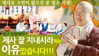 매년 명절 때마다 제사 잘 지내시라 하는 이유가 있습니다!!! - 제사로 고민이 많으신 분 필수 시청! -