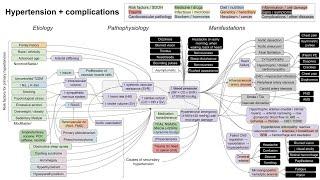 Hypertension and complications (mechanism of disease)