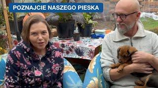 Piesek Uczy, Jak Być Radosnym