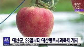 예산군, 28일부터 예산황토사과축제 개최/대전MBC