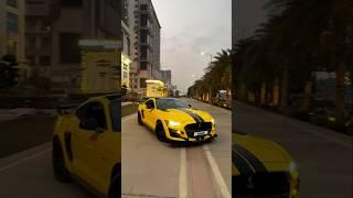 Boys Don’t Have Dreams? Watch Me Build Mine | Noah Trading #motivation #success