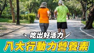 【亞尼活力】行動力受限?8大營養素吃出好活力