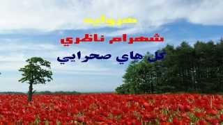 هروایه ـ شهرام ناظری