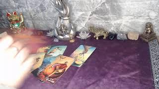 Tarot en vivo